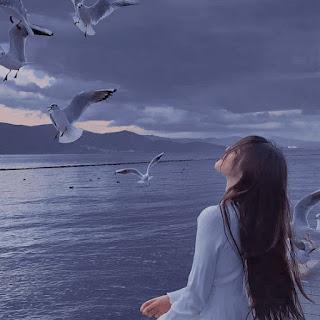 5.661 - CANTAN LOS MARES...