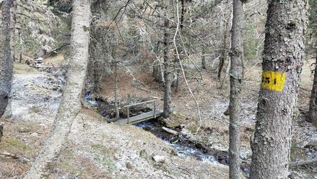 torrent de la Mata de l'Ós