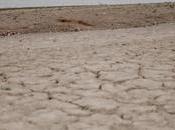 Crisis sequía Cataluña: embalses alcanzan niveles históricamente bajos