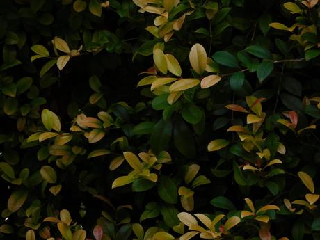 Esos jerséis que utilizaré tan poco… Esos jerséis que utilizaré tan poco…