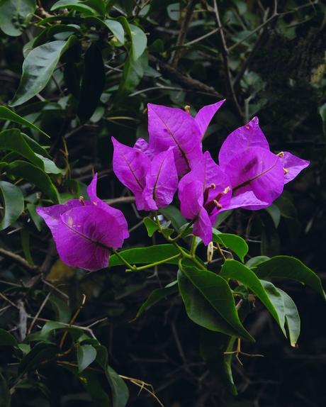 Esos jerséis que utilizaré tan poco… Esos jerséis que utilizaré tan poco…