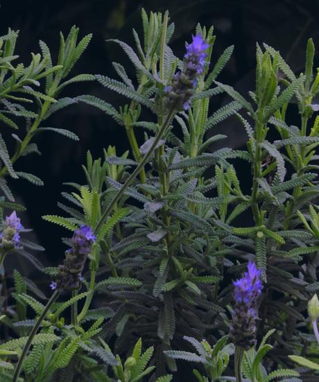 Esos jerséis que utilizaré tan poco… Esos jerséis que utilizaré tan poco…