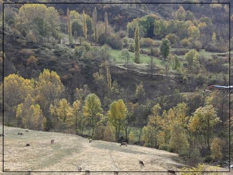 Edén en Isil, Lleida Edén en Isil, Lleida