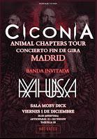 Concierto de Ciconia y Ayahuasca en Moby Dick Club