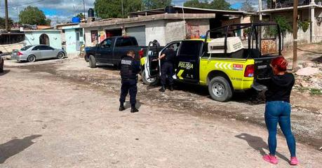 Envenenamiento masivo de perros en Pozuelos: autoridades municipales atienden reporte