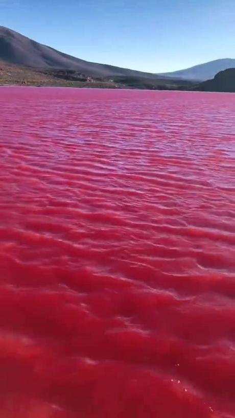 Rio Nilo de Color Rojo