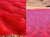 (video) Nilo amanece teñido Rojo: imágenes sorprendentes reviven relato bíblico