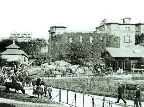 Central Park Vintage: Una Joya del Diseño Urbano 8