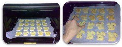 Ardillas de la Toscana