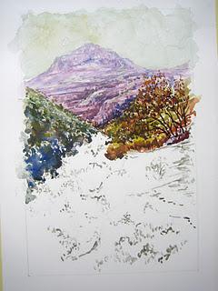 ¡ Bienvenida al NUEVO  AÑO ...!