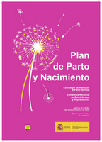 Plan de Parto y Nacimiento, indispensable