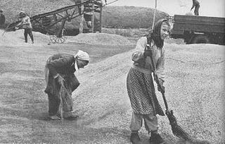 Vida e insólitas aventuras del soldado Iván Chonkin (Vladímir Voinóvich)