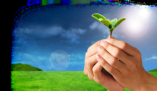 Semillas de futuro Semillas de futuro