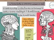 Estafador #104, evolución