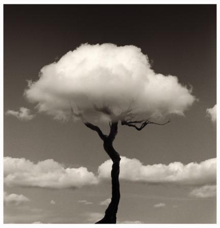 Fotografía inusual por Chema Madoz