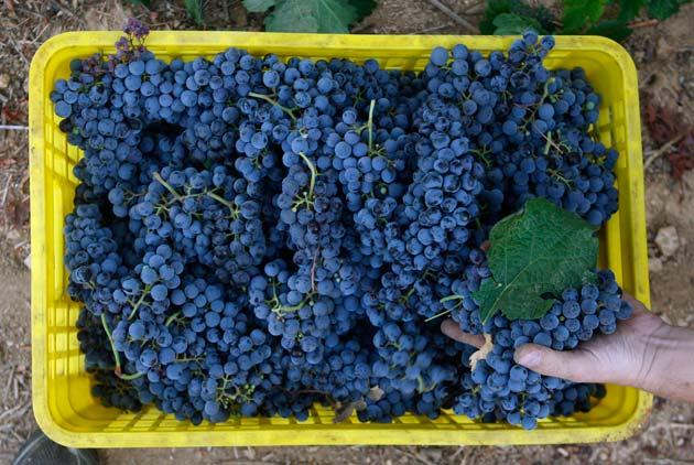 Conozca las tradiciones de Fin de Año en el mundo que otorgan la prosperidad