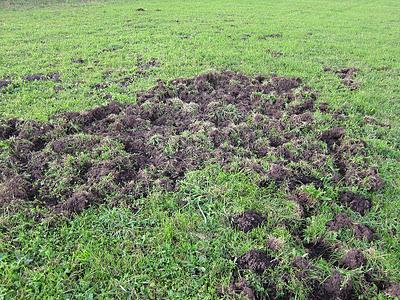 Observaciones navideñas...