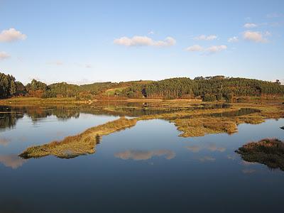 Observaciones navideñas...