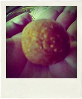 Cocadas Especiales...Ñami!!