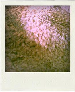 Cocadas Especiales...Ñami!!