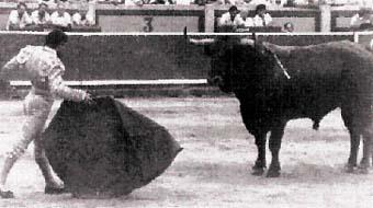 Ruiz Miguel apunta a los sanfermines