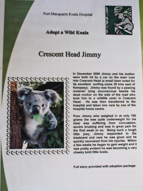 Crescent Head Jimmy
