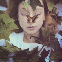 Lo que hice, dejé de hacer y no hice este 2011