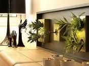 Cuadros Vegetales