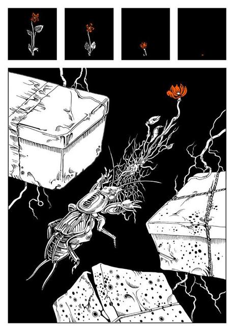 Kuba Woynarowski – The Story of Gardens