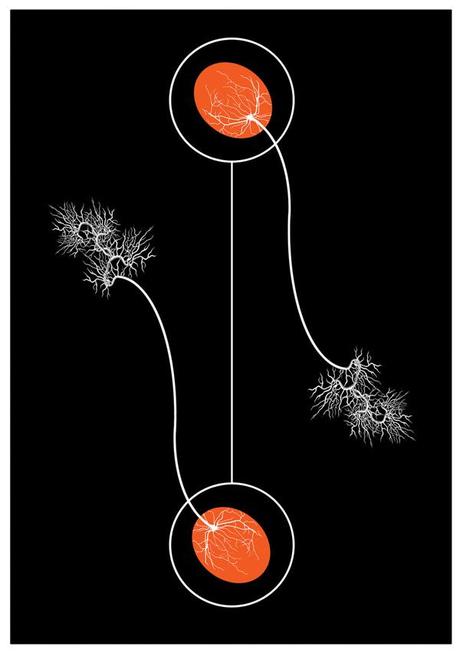 Kuba Woynarowski – The Story of Gardens