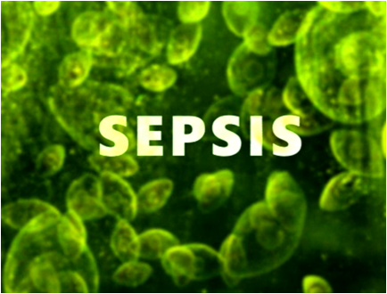 Biomarcadores para el diagnóstico y pronóstico de la sepsis en enfermos críticos