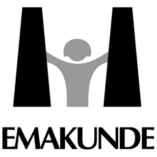 Iniciativa Gizonduz (II)