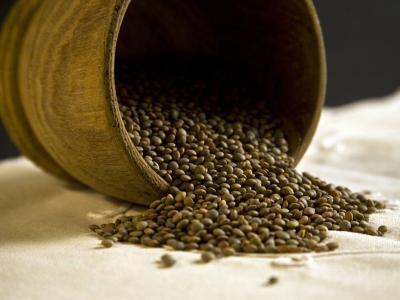 Feliz entrada de Año 2012!!!!!!