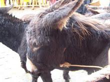 Las promesas se cumplen.