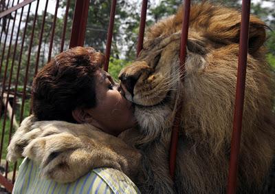 El Mundo Animal,  en fastuosas imágenes