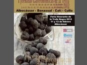 Jornadas trufa negra Alto Maestrazgo