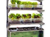 Malthus unidad acuaponia diseñada para cocina de...