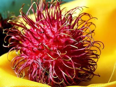 Frutas exóticas y bellas - Rambutan