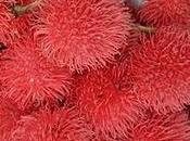 frutas exóticas bellas planeta