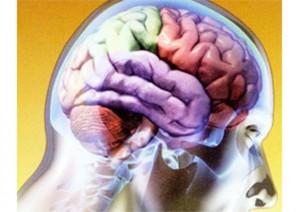 Con 90, Pero Con Un Cerebro De 20