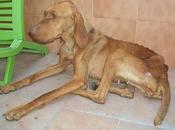 EIRE, lista para feliz (Murcia)‏