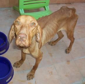 EIRE, lista para ser feliz (Murcia)‏