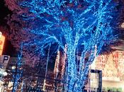 Luces Navideñas Tokyo