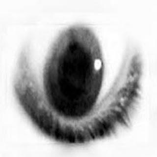 Lugares a 360 grados