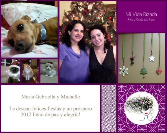 Te deseamos muy Felices Fiestas y un Próspero 2012!