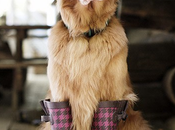 Quiero unas botas agua