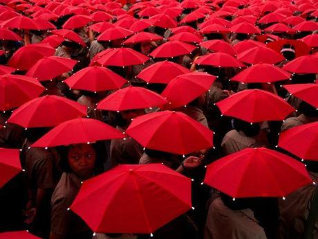 26 atractivas fotografias inspirado en el color rojo