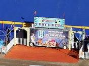 Circo Eddy