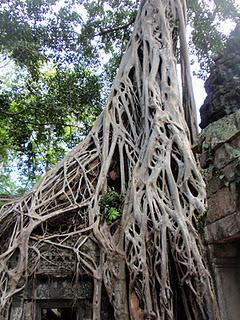 ANGKOR