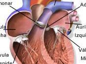 Pulmonale